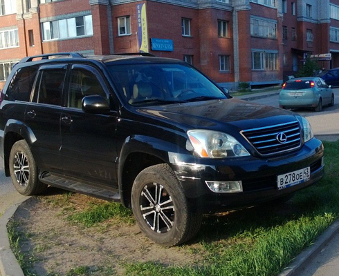 Пригревшимся на  травке посвящается