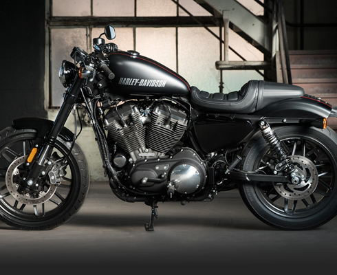 Темная лошадка