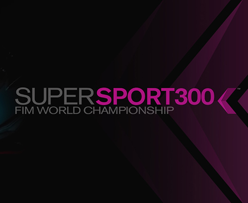 Класс Supersport 300 стартует в 2017 году