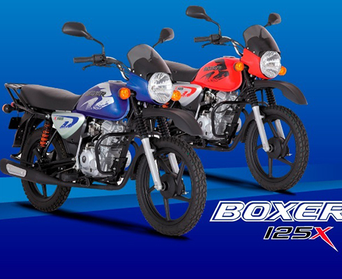 Бюджетные Baja Boxer 125X 2019 уже здесь