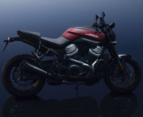 Bronx: стритфайтер Harley-Davidson обрел имя