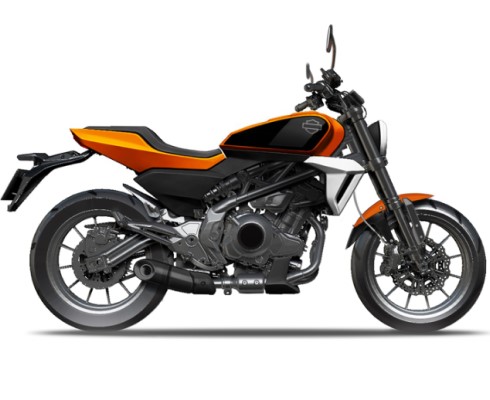 Baby Harley быть: появились новые подробности