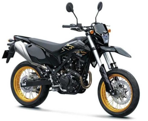Kawasaki KLX230SM: супермото для начинающих