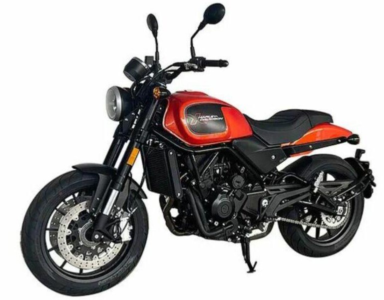 Baby Harley: уже скоро?