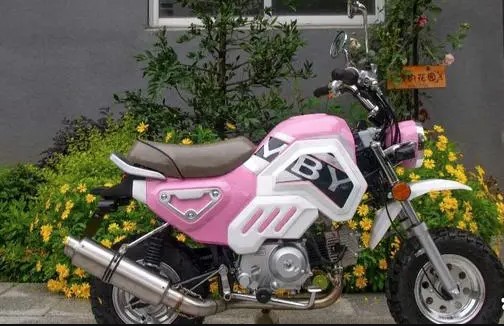 MBY Tank 50 – Honda Monkey от китайцев