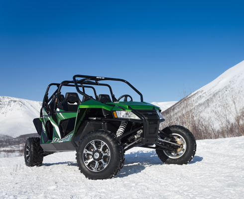 Кот IV: Arctic Cat Wildcat 1000i 4