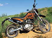 Гараж. Baltmotors Enduro 250DD.